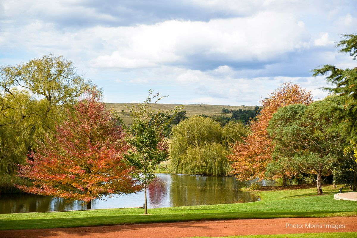 422a0a80d506722ded63084e0f8165036c9b7199