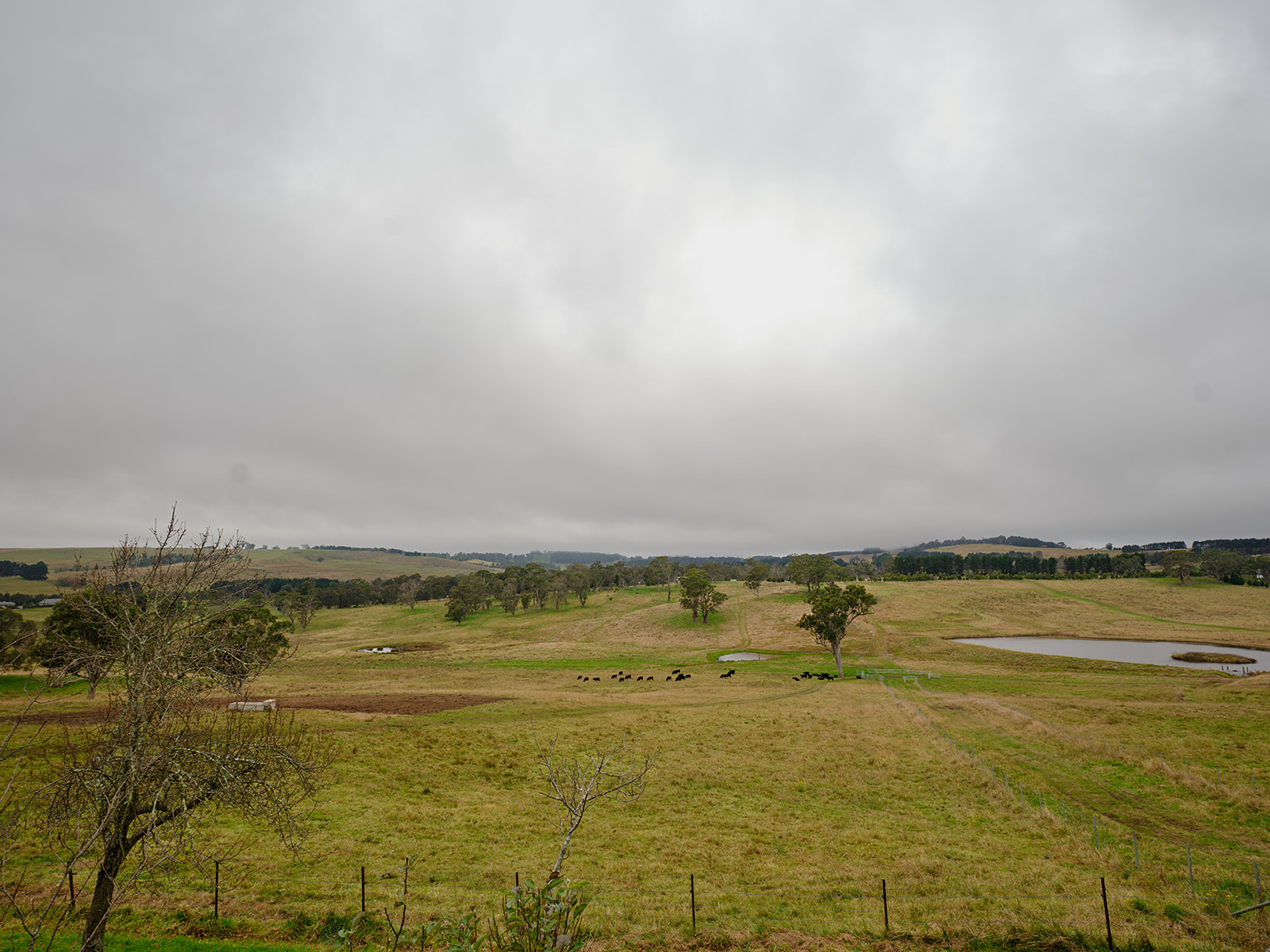 Bendooley cottage up the road