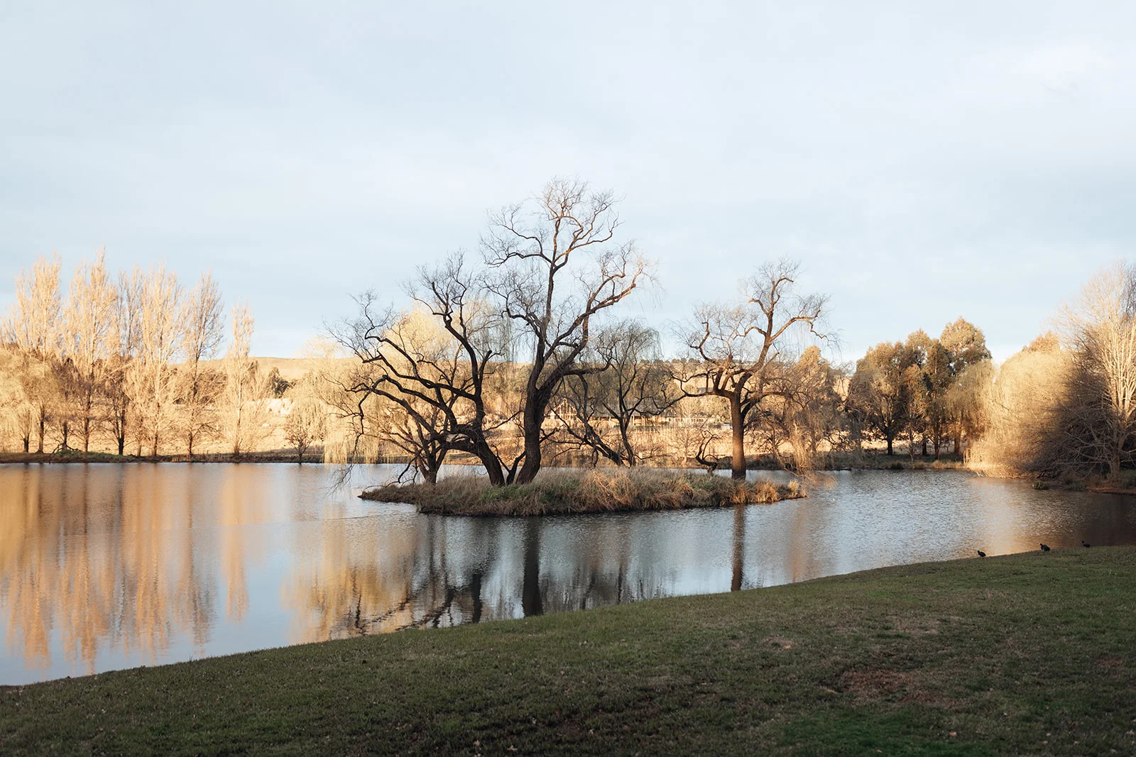 JasmineDieter 0648 websize