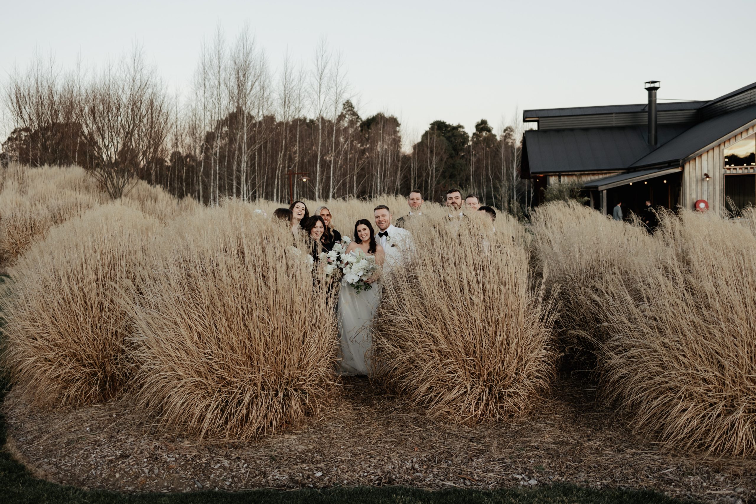 AS colour 524 scaled