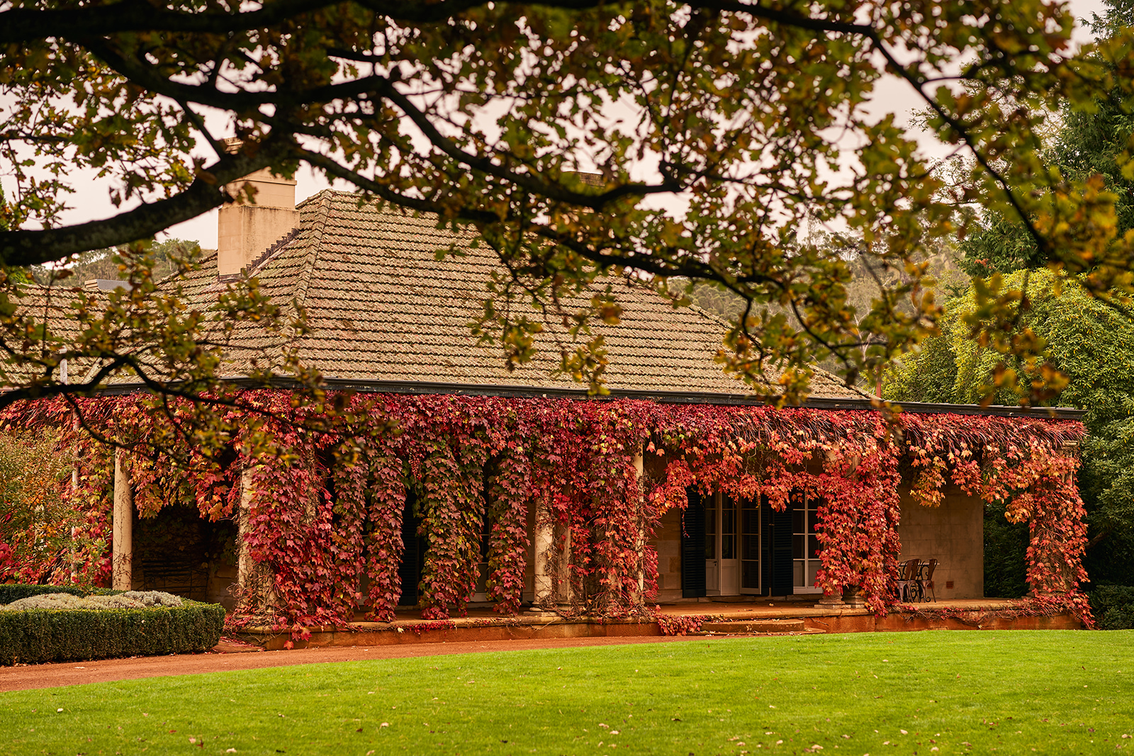 CMBlog_Bendooley_Wedding0004