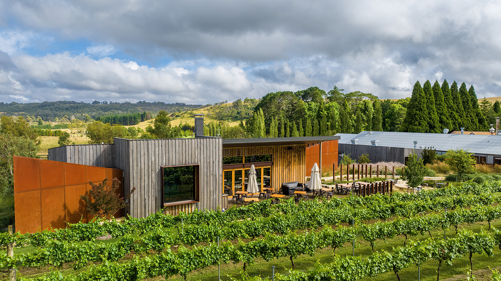 Bendooley cellar 17th Jan 2023