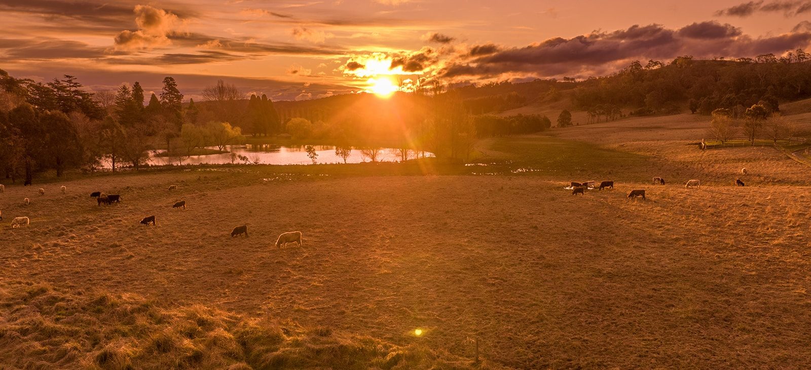 LD Drone 020 e1762936108107